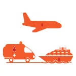 Blood Stem Cell Transportation
